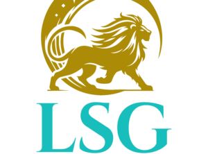 your journey with LSG Financial